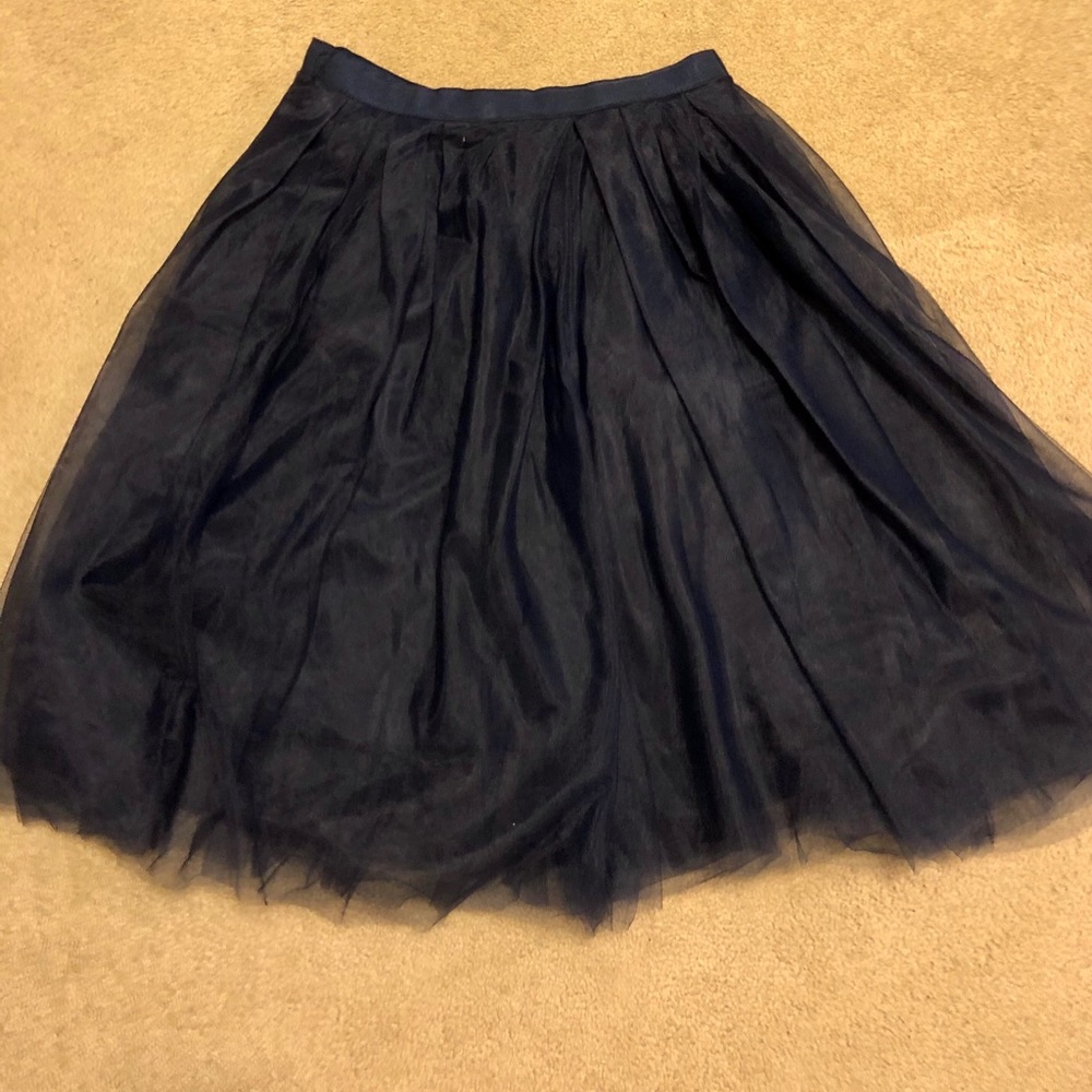 J.Crew Tulle Skirt